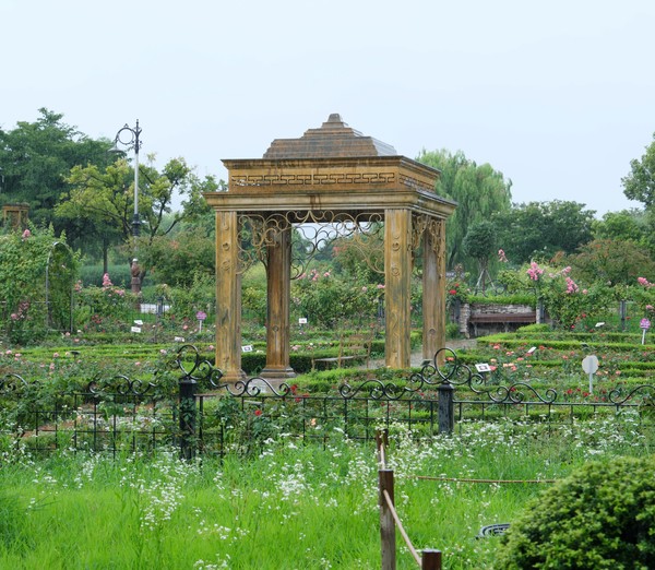 A Day Trip to Daejeon