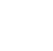 연세대학교 135주년 THE TRUTH WILL MAKE YOU FREE