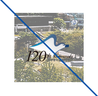 120th Anniversary 연세대학교 120주년