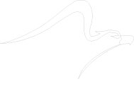 120th Anniversary 연세대학교 120주년