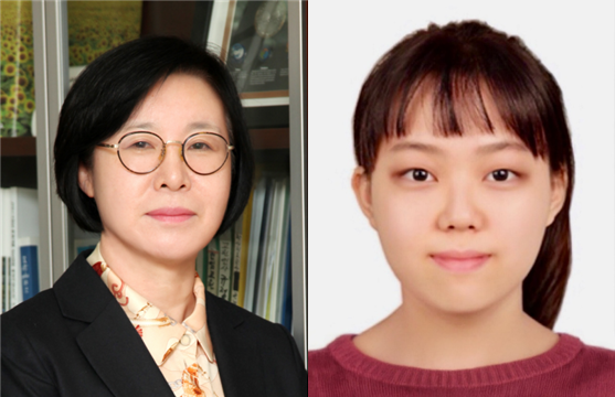 전혜영 교수 연구팀, AI 기반 전 지구 저고도 항공 난류 예보시스템 개발