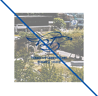 연세대학교 130주년 YONSEI 130th ANNIVERSARY