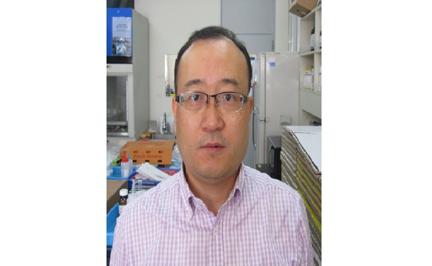 Facile and green synthesis of multifunctional nitrogen-doped carbon quantum dots from Ginkgo biloba leaves for antibacterial, antioxidant, and bioactive coating applications