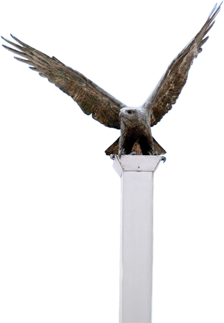 연세대학교 독수리 이미지